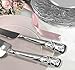 Sparkling Love 2-Piece Wedding Cake Knife and Server Set