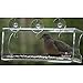 Tranquil Outdoors Large Acrylic Window Bird Feeder: Strong Removable Suction Cup Mounted Outdoor Bird House Feeder, Clear Birdfeeders for Large & Small Birds. Best See Thru Feeder for Bird Watching