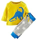 Fiream Boys Cotton Long Sleeve Clothing Set(20058TZ,3T)