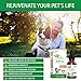 Best Organic Hemp Oil for Dogs and Cats - Non-GMO 100% Organic Hemp Oil for Pets - Anxiety Relief for Dogs and Cats - Supports Hip and Joint Health for Pets - Natural Pain Relief for Dogs and Cats -