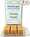 Candlecopia Autumn Woods Strongly Scented Hand Poured Vegan Wax Melts, 12 Scented Wax Cubes, 6.4 Ounces in 2 x 6-Packs