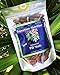 Divine Organics Raw Polynesian Pili Nuts 16 oz.