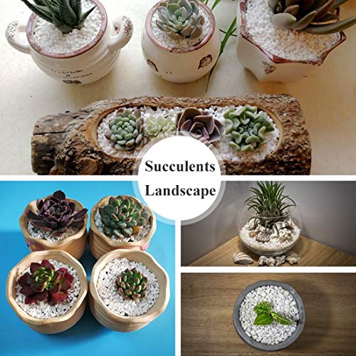 JZMYXA Aquarium Decorative Sands White Gravel Pebbles Fit for Aquariums