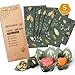 Beeswax Wrap Assorted 5 Packs, Eco Friendly Reusable Food Wraps, Biodegradable, Sustainable Plastic Free Food Storage- 1 Small, 3 Medium, 1 Large- Say Goodbye to Plastic(Green)