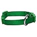 Blueberry Pet 6 Colors Better Basic Dog Collar, Light Emerald Green, Small, Neck 12