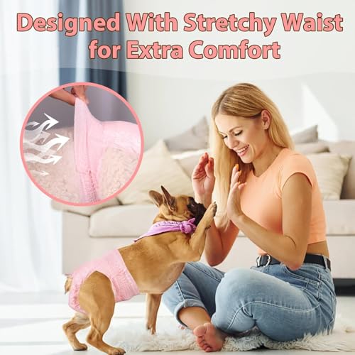 LBOYLOVE® Dog Diapers Female, 10 PCS Strong Absorbency Leak Proof Doggie Diapers for Female Dog, Just Pull It Up, for Dogs in Heat, Elderly, Disabled, Pup (S)