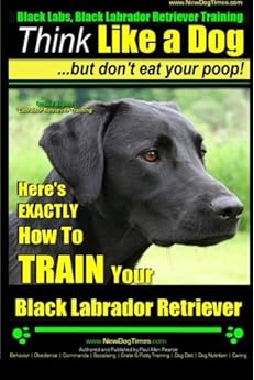 buy black labrador