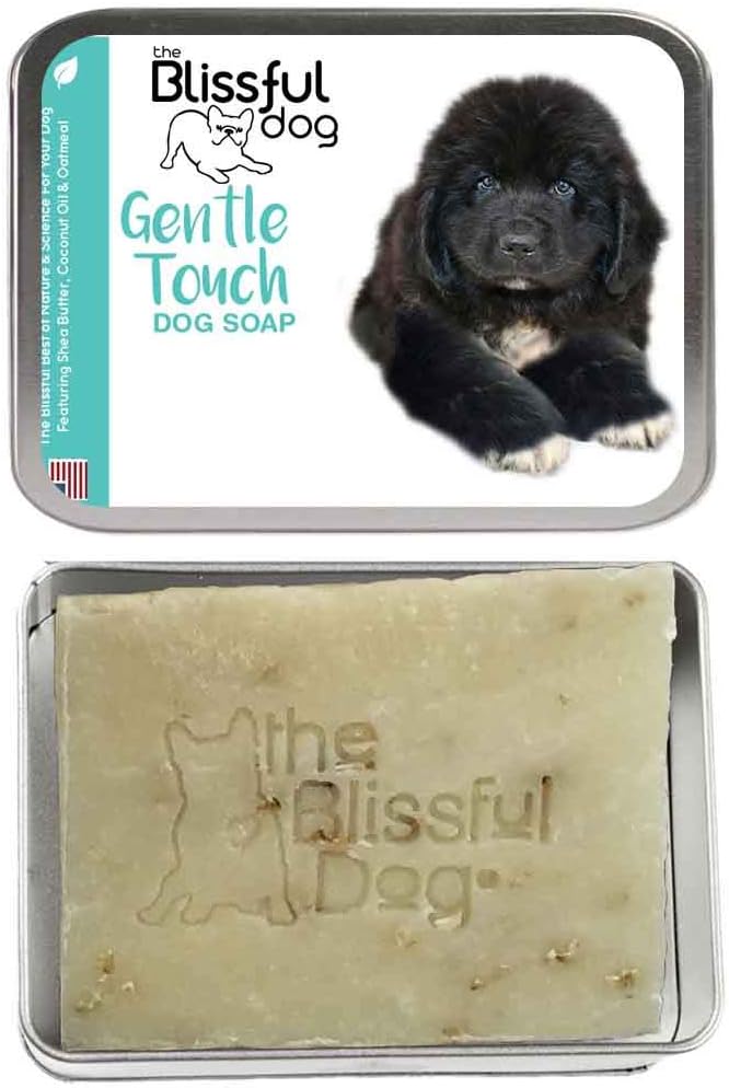 best dog dryer for newfoundland