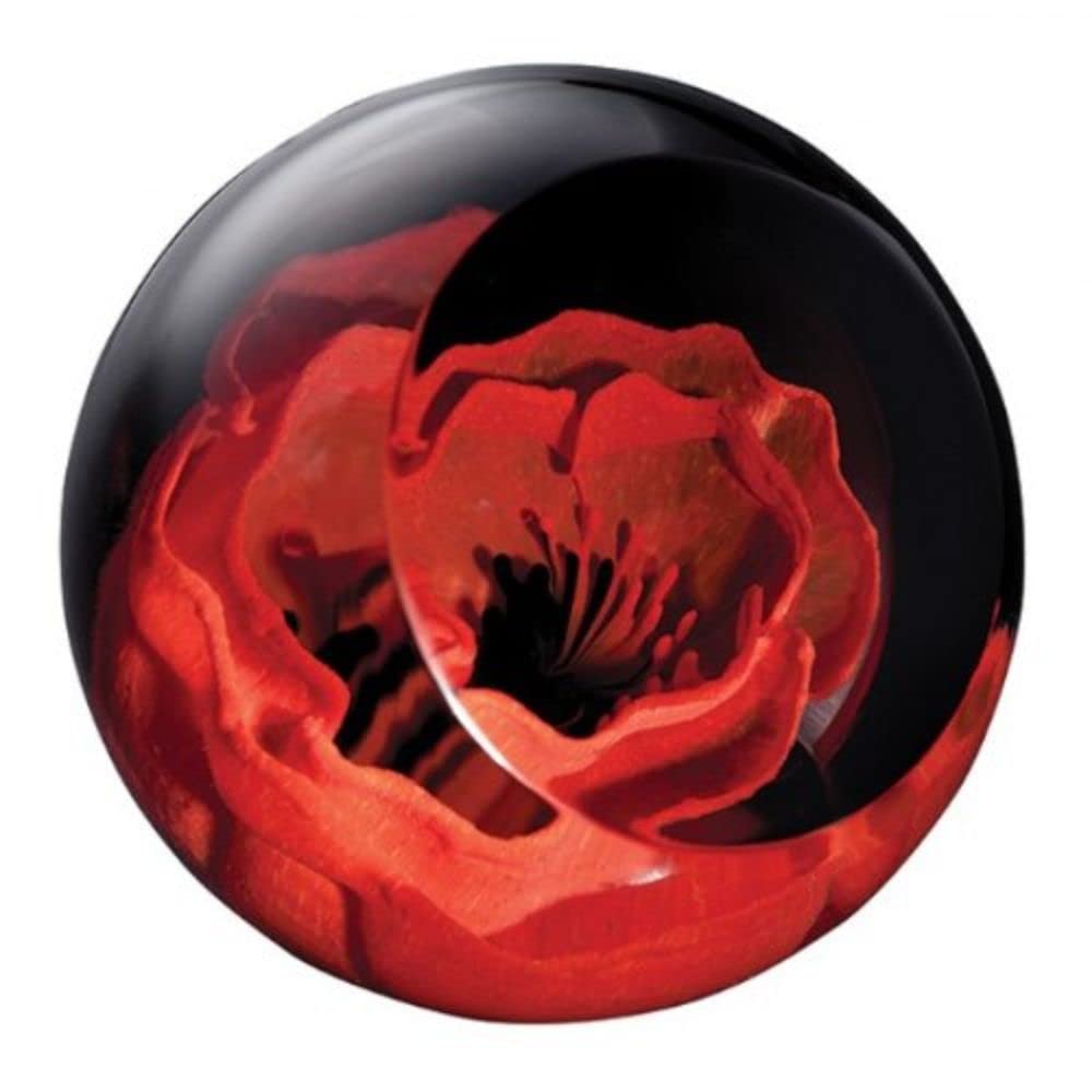 Caithness Glass Remembrance Poppy Paperweight | Red | 64mm x 64mm | Handmade in Scotland | A handmade glass poppy floats within this faceted paperweight, honouring those who served| Ornamental | Boxed