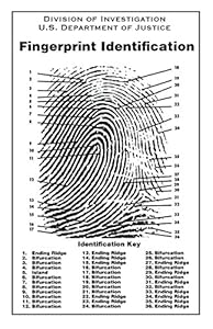 Amazon.com: Fingerprint Chart: Posters &amp; Prints