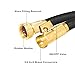 KISCHERS Garden Hose 100 ft Anti-burst, Improved Expandable Water Hose pipe With 3-layers Natural latex Core, 3/4 Solid Brass Fittings, Expanding Hose With Storage Bag & Hook
