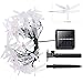 DecorNova Solar String Lights, 20 LEDs Dragonfly Solar Fairy Lights with Waterproof Solar Panel & 2 Lighting Modes for Outdoor Garden Patio Yard Party Christmas Holidays,13 Feet, Multi Color
