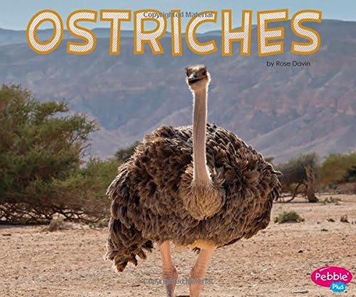 Ostriches (Meet Desert Animals)