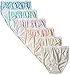 Hanes Women's Hi-Cut- Lace Effects Panty (Pack of 6)