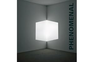 Phenomenal: California Light, Space, Surface