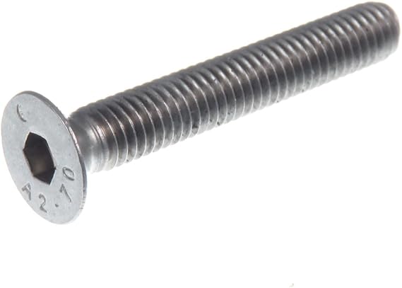 20 Bulloni Testa Tonda M6x30mm ACCIAIO INOX A2 - Con Collo Quadro, DIN 603, Per Trasporto