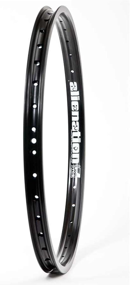 alienation 24 inch rims