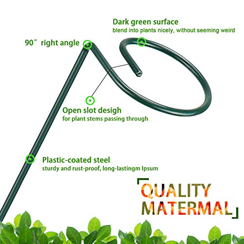 5 Pack Plant Support Stakes, Metal Single Stem Plant Support Stakes Garden Plant Cage Support Rings for Flowers Tomatoes Peony Lily Orchid Rose etc. (5Pcs Single Stem Plant Support)