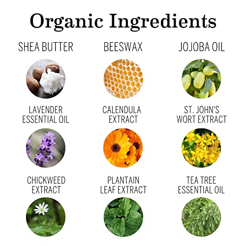 Earth Mama Organic Diaper Balm Multipurpose Baby Ointment EWG