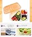 CHARHODEN Bento Lunch Box Meal Prep Containers- 3 Compartment Reusable Food Storage Containers for Kids & Adults Microwaveable,Freezer & Dishwasher Safe 7 Pack