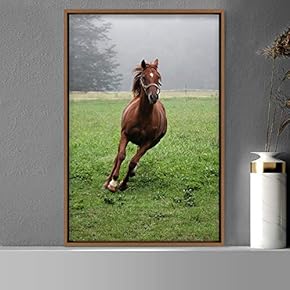signwin Framed Canvas Wall Art Horse Animals Dramatic...