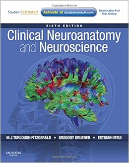 Basic clinical neuroanatomy young pdf to jpg converter