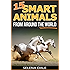 15 Smart Animals From Around The World - Extraordinary Animal Photos & Facinating Fun Facts For Kids: Book 1 (Weird & Wonderful Animals)