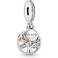 Lkwrideiny 925 Sterling Silver Charms for Bracelets and Necklaces Dangle Pendants Beads Charms Jewelry Gift for Women