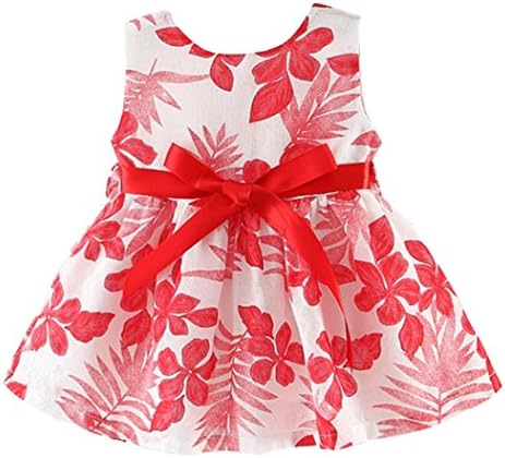 Baby Girls 6M - 3T Summer Floral Princess Party Dress