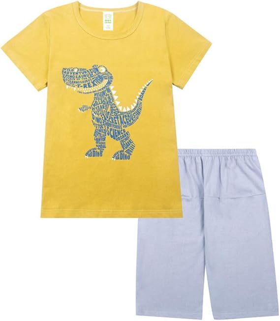 Amazon 実りの秋 キッズパジャマ 男の子 恐竜柄 半袖 五分丈ズボン ボーイズ 子供 ジュニア 大きいサイズ 上下セット 夏 ルームウェア 部屋着 寝間着 ナイトウエア 息子 良い肌触り 柔らか ゆったり 通気性 パジャマ 通販