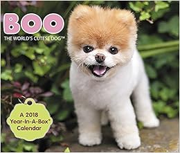 cutest dog ever 2018