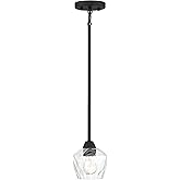 Minka Lavery 2171-66A Camrin Convertible Pendant to Semi-Flush, 1-Light, 60 Total Watts, 5.5-in H x 6-in W, Coal Black