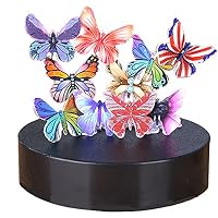 iPhyhe Magnetic Sculpture Desk Toy Stress Relief Intelligence Development (Butterflies)
