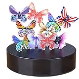 iPhyhe Magnetic Sculpture Desk Toy Stress Relief Intelligence Development (Butterflies)