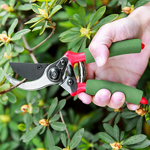 Terme Pruner Foam Handle Pruning Shears - Thumbnail 5