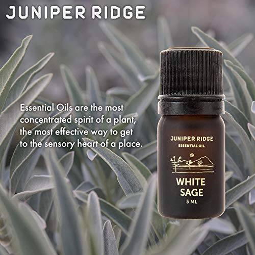 Juniper Ridge Essential Oil - White Sage - 5 ml