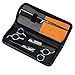 Professional Hair Cutting Scissors Barber Shears Set Hair Thinning Kit with Black Storage Case
