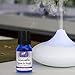 Relax & Sleep Essential Oil for Kids by AlternaKids - 100% Pure, Therapeutic Grade, Undiluted Aromatherapy Blend for Children | Lavender, Chamomile for Good Night Peaceful Sleep Kid Safe (10ml bottle)