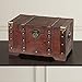 Vintiquewise(TM Antique Style Wooden Trunk, Small