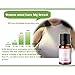 Ochine Breast Enlargement Essential Oil Lifting Cream Natural Pueraria Mirifica 10ml Enlarge Bust Bigger Hips Ass Enhancement