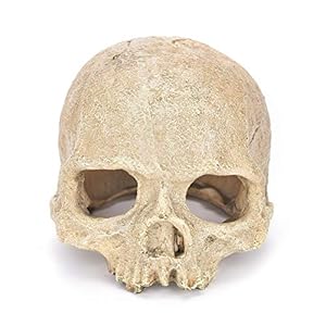 LUCKFY Fish Tank Decoration Rettile Hideout Skull Acquario Rettilario del Cranio della Resina Cave Famiglia giornaliera… - immagine 5