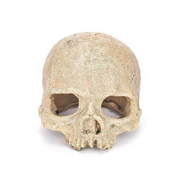 LUCKFY Fish Tank Decoration Rettile Hideout Skull Acquario Rettilario del Cranio della Resina Cave Famiglia giornaliera…