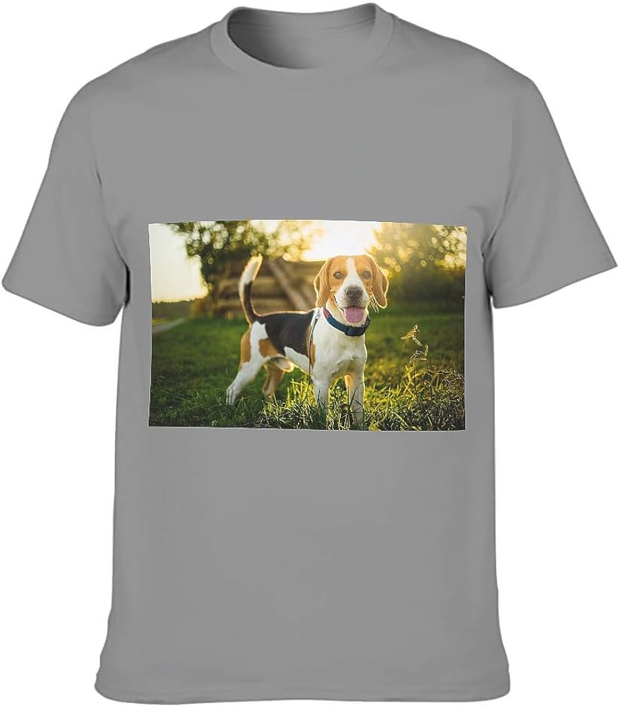 Men's Cotton TShirt Small Dog Ultra Soft Crew Neck Top for Various Activities Grey XL