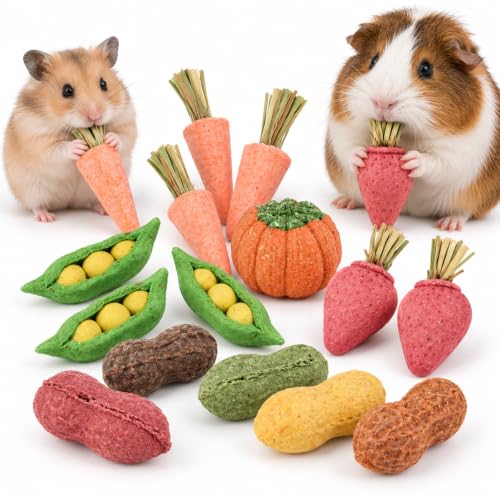 HERCOCCI Vegetable Chew Toys