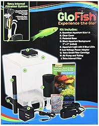 GloFish Betta Aquarium Kit 1.5 Gallons, Easy Setup