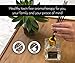 Reed Diffuser Gift Set, Natural Essential Oil Long Lasting Fragrance 5 oz; Aromatherapy Air Freshener; Laos White Tea and Ginger (+Other Scent Options Available) w/Glass Bottle & Rattan Reeds