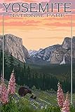 Bears and Spring Flowers - Yosemite National Park, California (9x12 Art Print, Wall Decor Travel Poster)