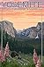 Yosemite National Park, California - Bear and Cubs with Flowers (9x12 Art Print, Wall Decor Travel Poster)