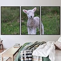 3 Piece Framed Canvas Wall Art Fun Animals Canvas Prints Home Artwork Decoration for Living Room,Bedroom - 16