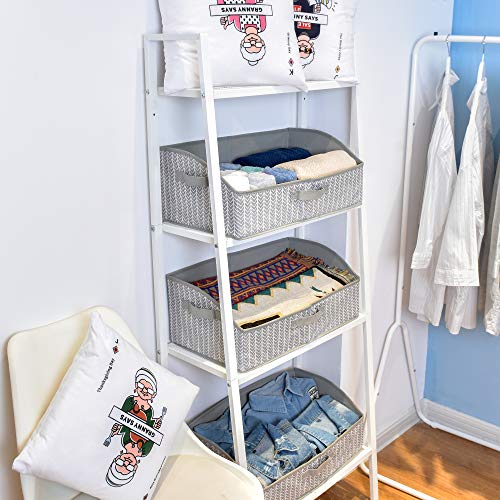 GRANNY SAYS Storage Bins for Closet Organization, Trapezoid Storage